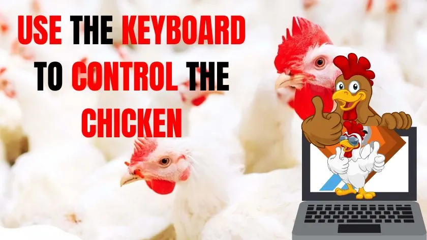 Keyboard to Control the Chicken
